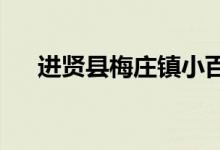 进贤县梅庄镇小百花幼儿园的地址在哪