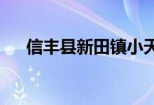信丰县新田镇小天使幼儿园的地址在哪