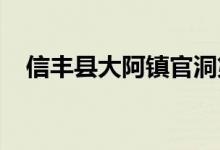 信丰县大阿镇官洞第一幼儿园的地址在哪