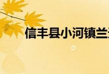 信丰县小河镇兰天幼儿园的地址在哪