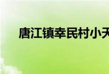 唐江镇幸民村小天使幼儿园的地址在哪