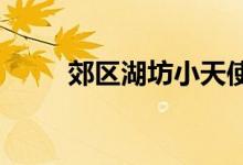 郊区湖坊小天使幼儿园的地址在哪