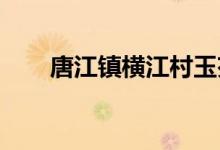 唐江镇横江村玉芬幼儿园的地址在哪
