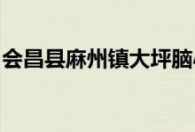 会昌县麻州镇大坪脑小精灵幼儿园的地址在哪