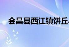 会昌县西江镇饼丘小子幼儿园的地址在哪