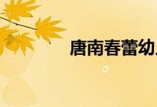 唐南春蕾幼儿园的地址在哪