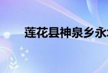 莲花县神泉乡永垅幼儿园的地址在哪
