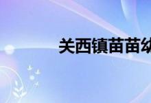 关西镇苗苗幼儿园的地址在哪