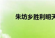 朱坊乡胜利明天幼儿园的地址在哪