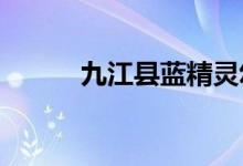 九江县蓝精灵幼儿园的地址在哪