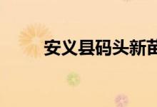安义县码头新苗幼儿园的地址在哪