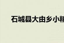 石城县大由乡小精灵幼儿园的地址在哪