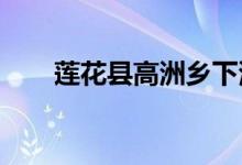 莲花县高洲乡下湾幼儿园的地址在哪