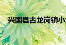 兴国县古龙岗镇小太阳幼儿园的地址在哪