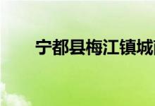 宁都县梅江镇城南幼儿园的地址在哪