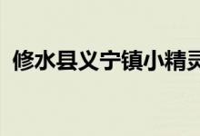 修水县义宁镇小精灵第一幼儿园的地址在哪