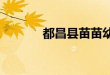都昌县苗苗幼儿园的地址在哪