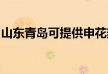 山东青岛可提供申花热水器维修服务地址在哪
