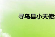 寻乌县小天使幼儿园的地址在哪