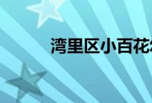 湾里区小百花幼儿园的地址在哪