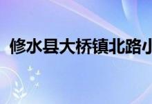 修水县大桥镇北路小精灵幼儿园的地址在哪