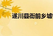 遂川县衙前乡墟镇幼儿园的地址在哪
