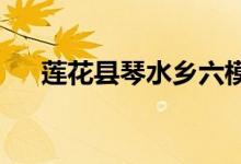 莲花县琴水乡六模村幼儿园的地址在哪