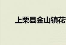 上栗县金山镇花蕾幼儿园的地址在哪