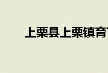 上栗县上栗镇育苗幼儿园的地址在哪