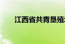江西省共青垦殖场幼儿园的地址在哪