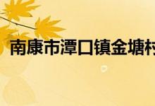 南康市潭口镇金塘村一休幼儿园的地址在哪