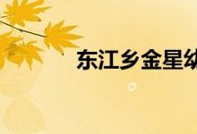 东江乡金星幼儿园的地址在哪