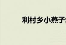 利村乡小燕子幼儿园的地址在哪