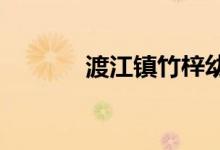 渡江镇竹梓幼儿园的地址在哪
