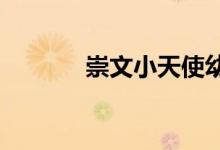 崇文小天使幼儿园的地址在哪