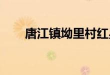 唐江镇坳里村红星幼儿园的地址在哪