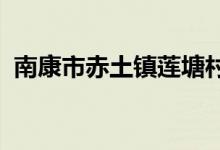 南康市赤土镇莲塘村雄鹰幼儿园的地址在哪