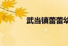 武当镇蕾蕾幼儿园的地址在哪