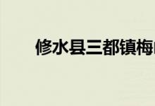 修水县三都镇梅山幼儿园的地址在哪