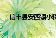 信丰县安西镇小精灵幼儿园的地址在哪