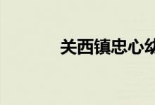 关西镇忠心幼儿园的地址在哪