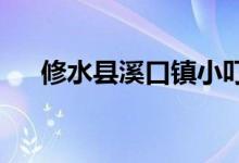修水县溪口镇小叮当幼儿园的地址在哪