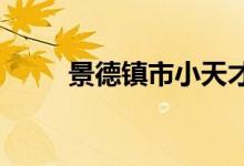 景德镇市小天才幼儿园的地址在哪