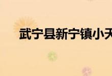 武宁县新宁镇小天使幼儿园的地址在哪