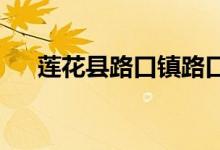 莲花县路口镇路口村幼儿园的地址在哪