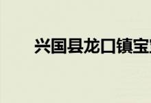 兴国县龙口镇宝宝幼儿园的地址在哪