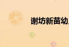 谢坊新苗幼儿园的地址在哪