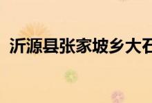 沂源县张家坡乡大石沟村幼儿园的地址在哪