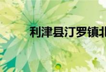 利津县汀罗镇北码小学的地址在哪