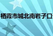 栖霞市城北南岩子口天天乐幼儿园的地址在哪